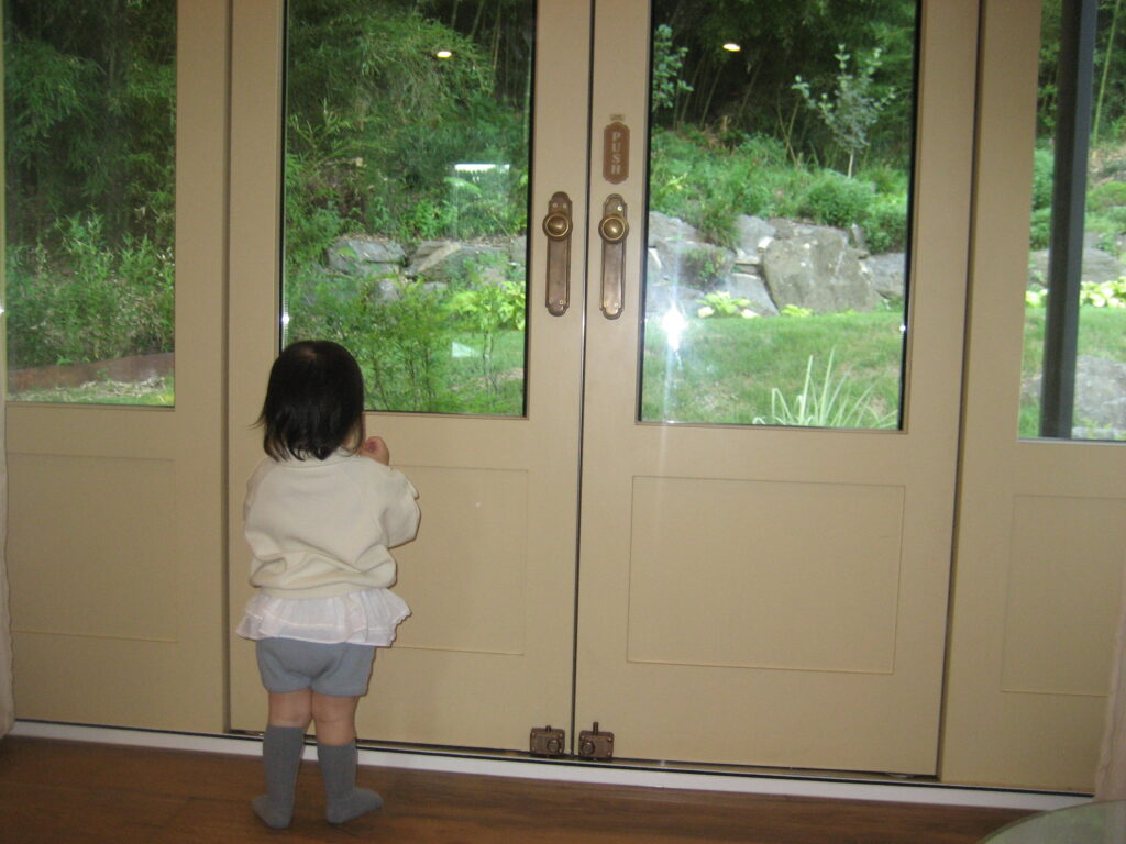 캐논 익서스 60 CCD 무보정 풍경 사진