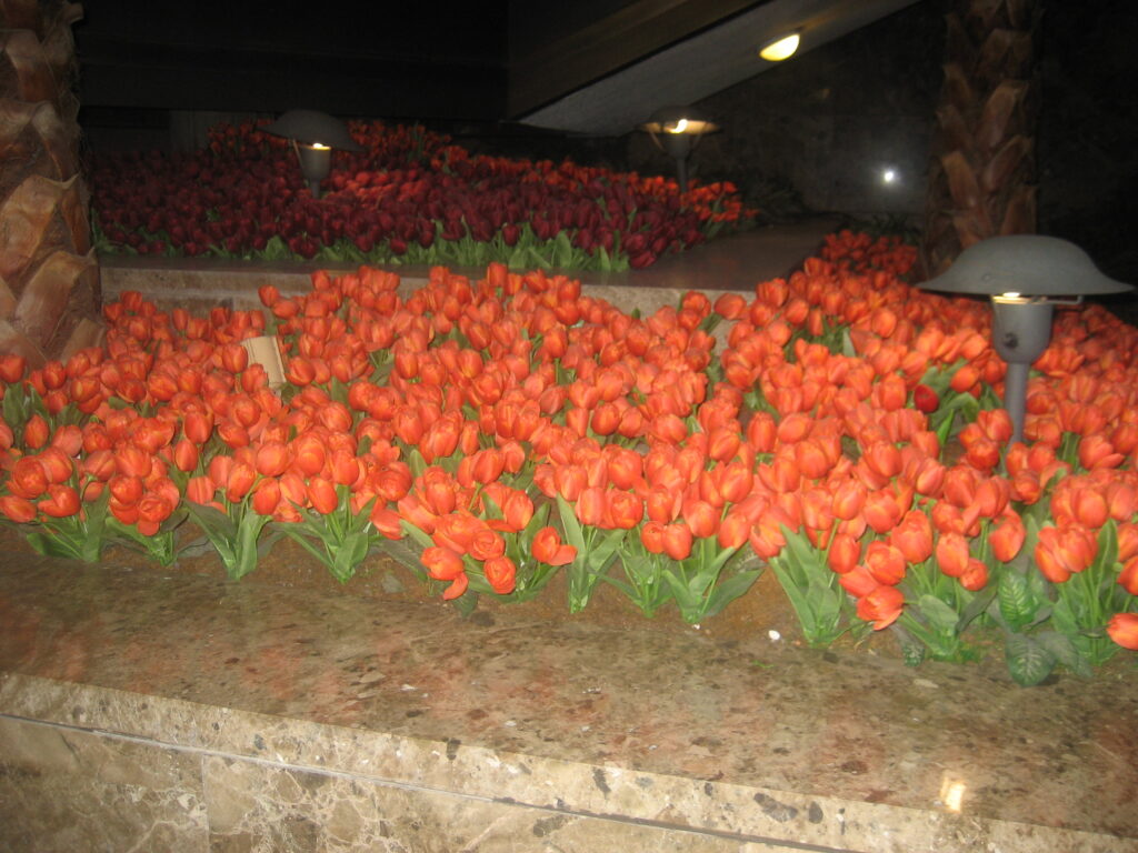 캐논 익서스 60 CCD 무보정 풍경 사진