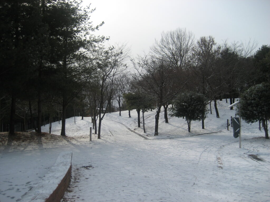 캐논 익서스 60 CCD 무보정 풍경 사진